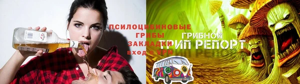 сатива Магадан