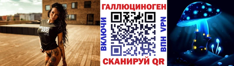Псилоцибиновые грибы Psilocybine cubensis  Магнитогорск 